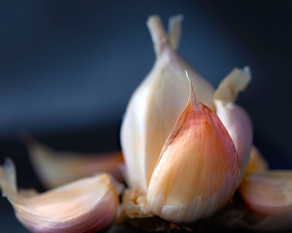 Fermented Garlic Recipe